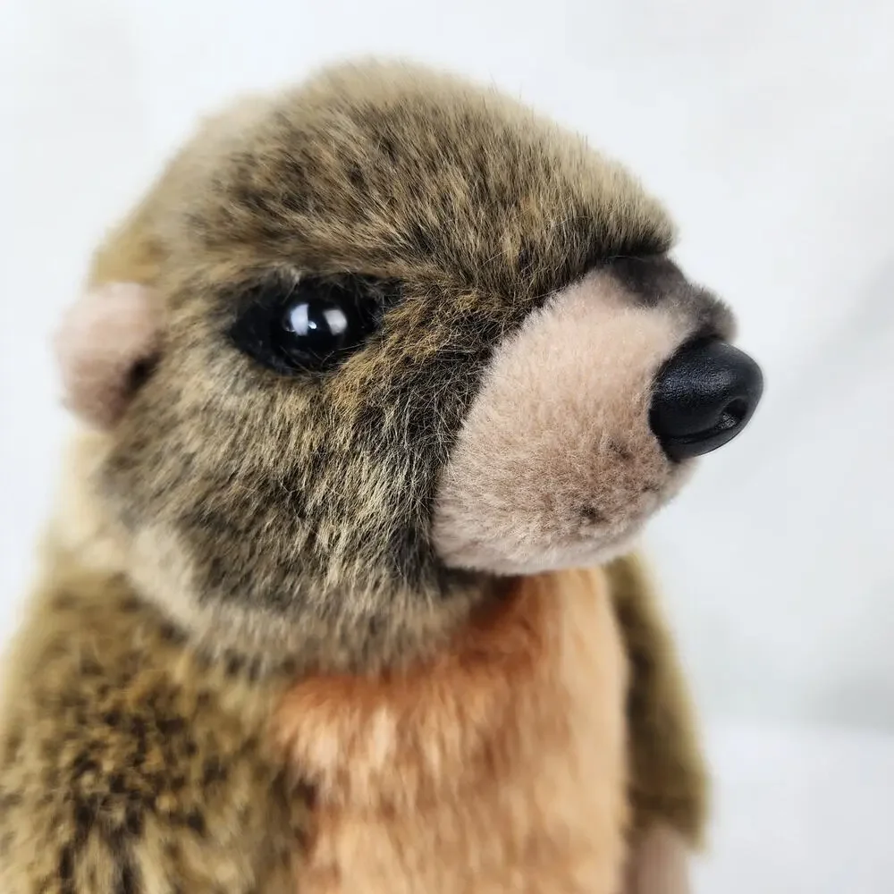 Wildlife Artists Realistic Marmot Groundhog Woodchuck 10
